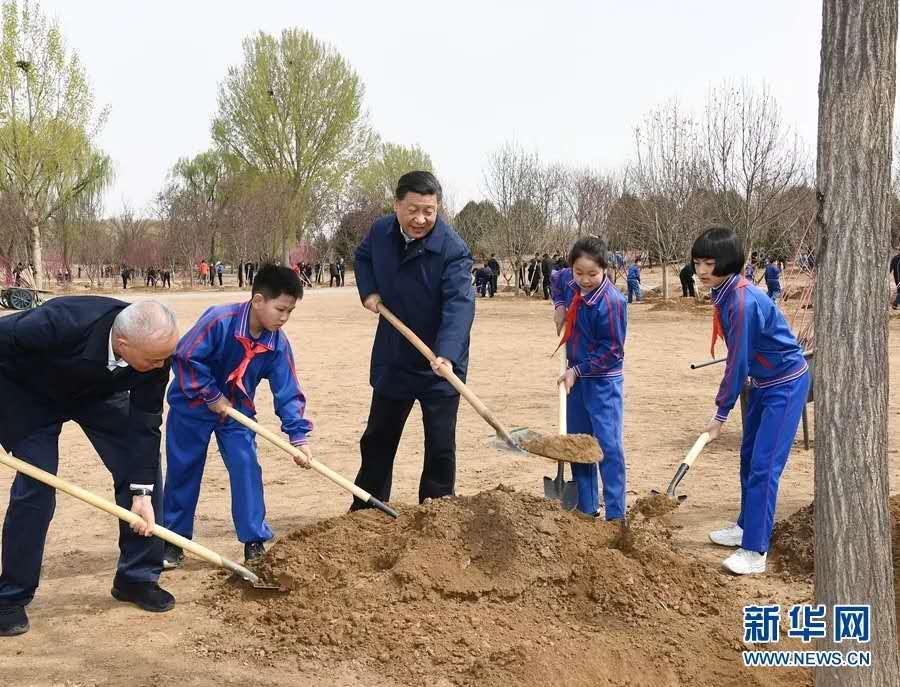 习近平同大家一起植树.jpg